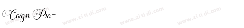 Coign Pro字体转换